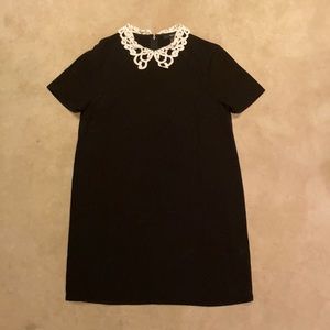 Forever 21 Black Collar Dress